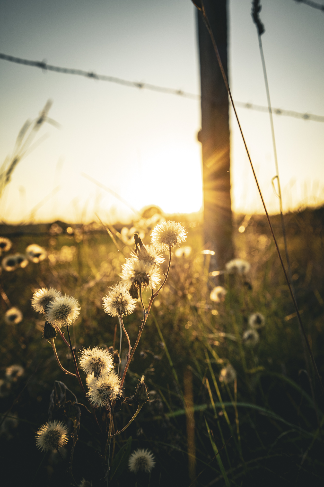 nature photography