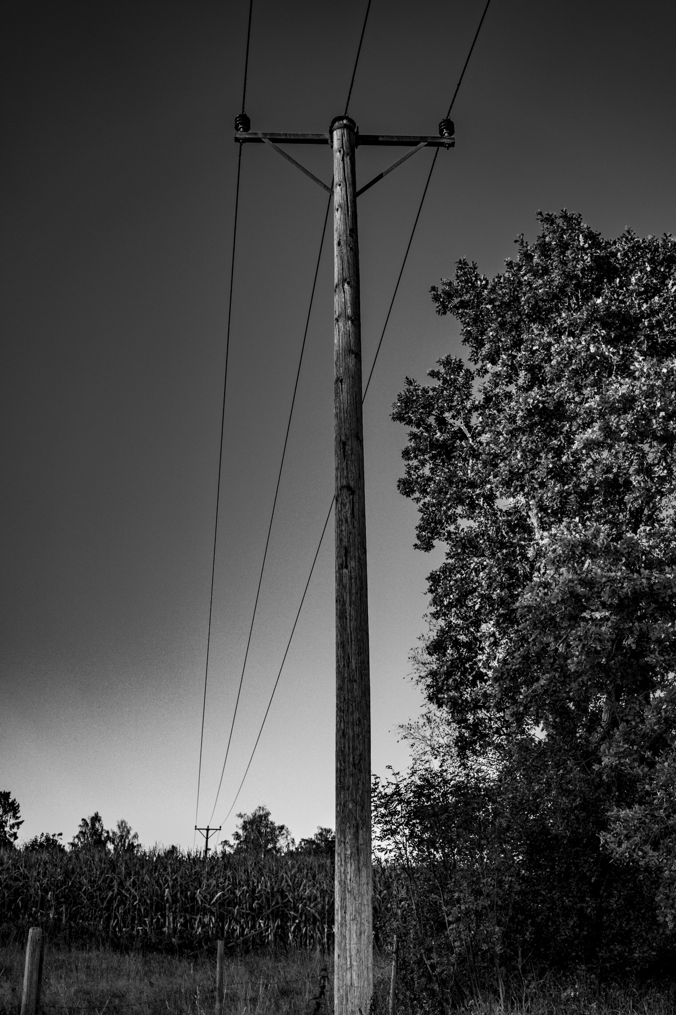 nature photography