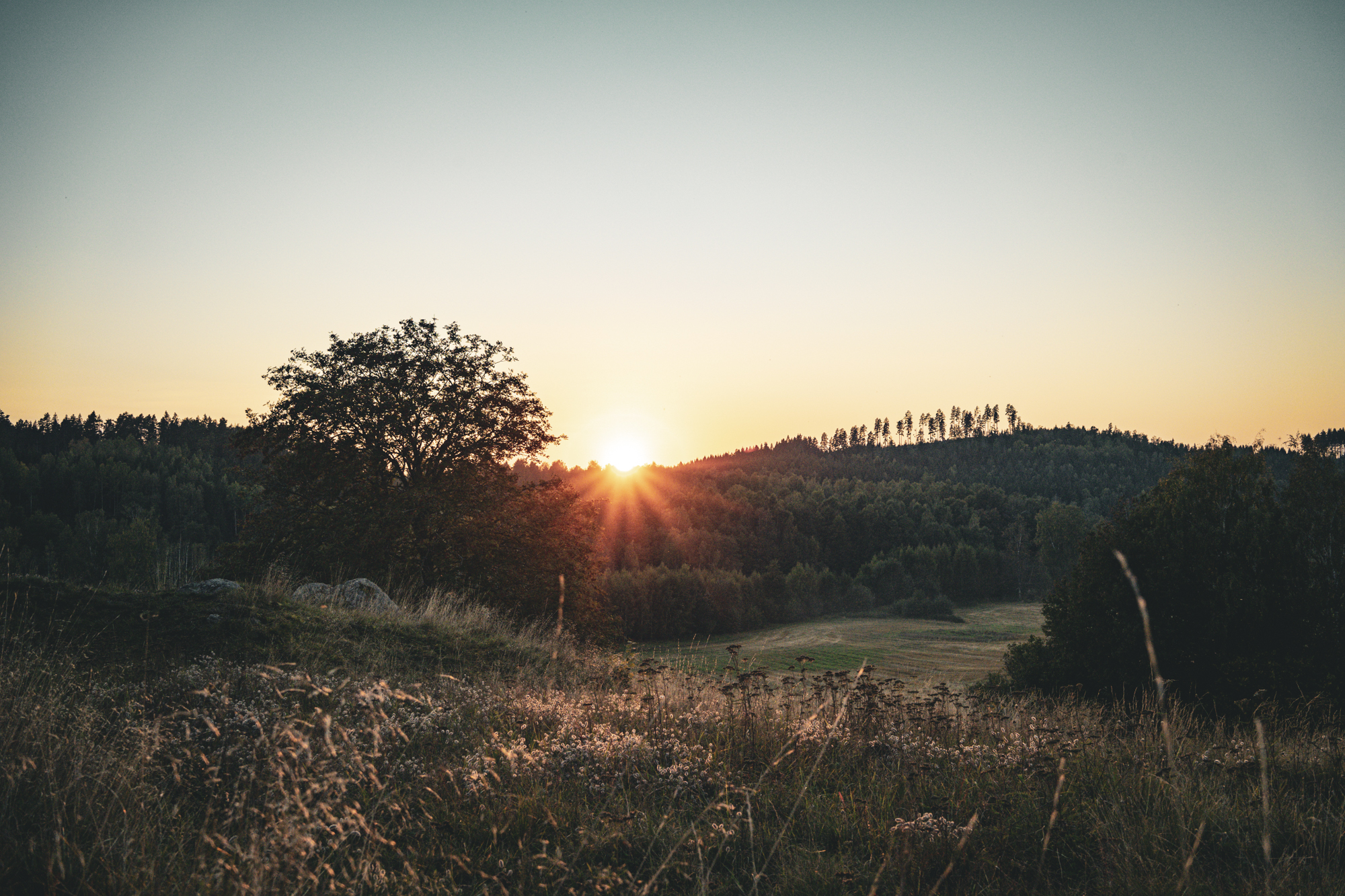 nature photography