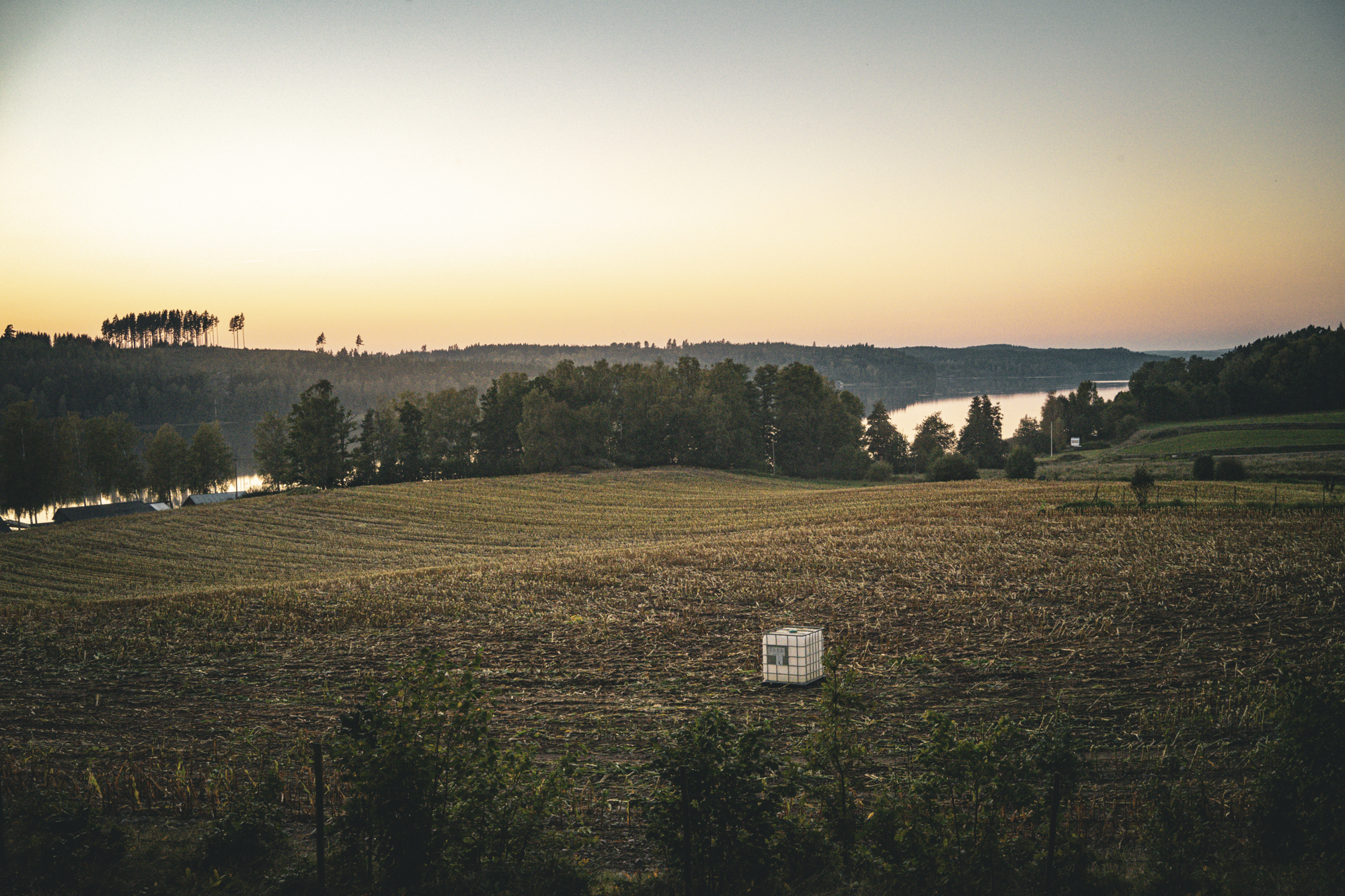 nature photography