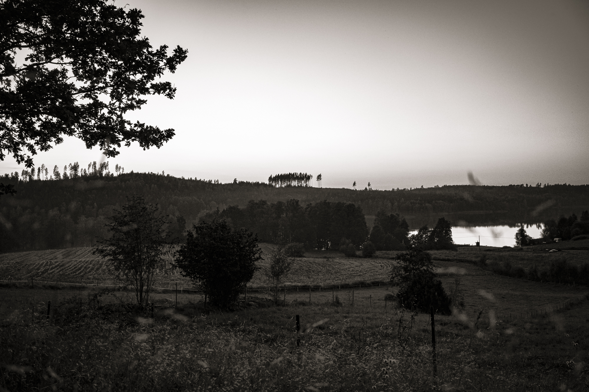 nature photography